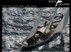 White Dolphin White Dolphin