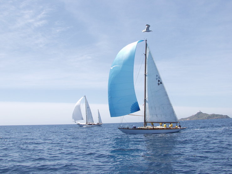 Vendredi 26 le ballet des spis Vendredi 26 le ballet des spis