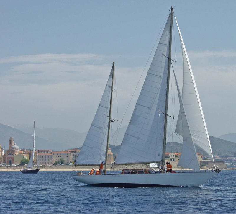 White Dolphin White Dolphin