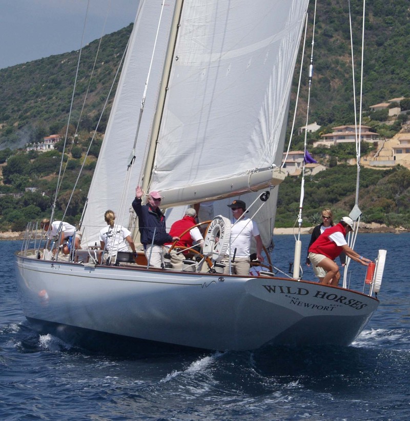 Wild Horses Wild Horses