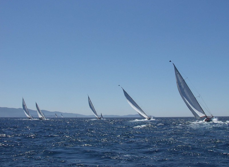 Une première régate pour les tacticiens Une première régate pour les tacticiens