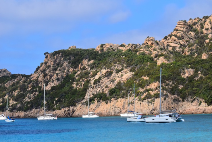 Catamaran au mouillage - Roccapina