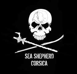 Sea Shepherd, partenaire des Régates Impériales 2016 Sea Shepherd, partenaire des Régates Impériales 2016