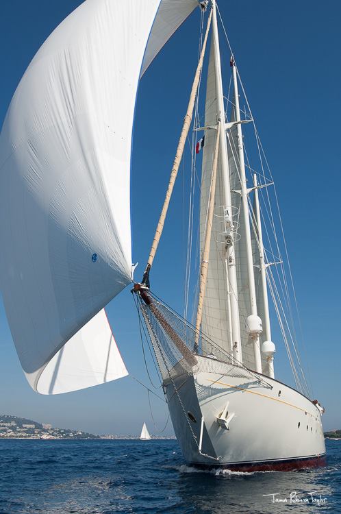 Xarifa nouvel inscrit aux Regates Imperiales 2015 Xarifa nouvel inscrit aux Regates Imperiales 2015