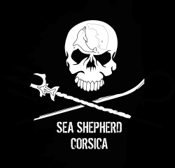 Sea Shepherd, partenaire des Régates Impériales 2016