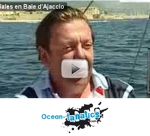 Les Régates Imperiales 2005 sur Ocean.tv