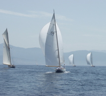 Havsörnen Havsörnen