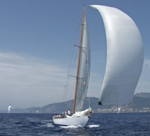 Oiseau de Feu Oiseau de Feu