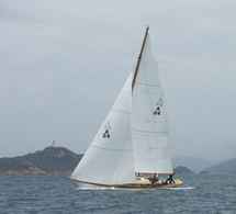 White Wings White Wings