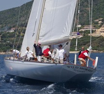 Wild Horses Wild Horses