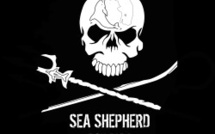 Sea Shepherd, partenaire des Régates Impériales 2016 Sea Shepherd, partenaire des Régates Impériales 2016