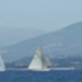regates_imperiales_2009_bateaux_8.jpg