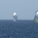regates_imperiales_2009_bateaux_31.jpg