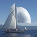 regates_imperiales_2009_bateaux_36.jpg