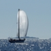 regates_imperiales_2009_bateaux_38.jpg