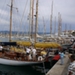 regates_imperiales_2004_bateaux_33.JPG
