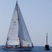 regates_imperiales_2004_bateaux_60.jpg