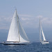 regates_imperiales_2004_bateaux_63.jpg