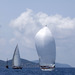 regates_imperiales_2004_bateaux_78.jpg