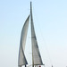regates_imperiales_2004_bateaux_81.jpg