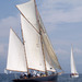 regates_imperiales_2004_bateaux_108.jpg