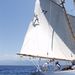 regates_imperiales_2005_bateaux_24.jpg