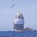 regates_imperiales_2006_bateaux_51.jpg