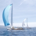 regates_imperiales_2006_bateaux_58.jpg