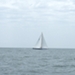 regates_imperiales_2008_bateaux_16.jpg