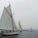 regates_imperiales_2008_bateaux_19.jpg