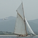 regates_imperiales_2008_bateaux_43.jpg