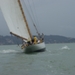 regates_imperiales_2008_bateaux_54.jpg
