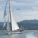 regates_imperiales_2008_bateaux_97.jpg