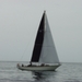 regates_imperiales_2008_bateaux_110.jpg