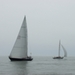 regates_imperiales_2008_bateaux_117.jpg