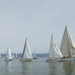 regates_imperiales_2008_bateaux_137.jpg