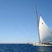 Regates2010_211.jpg