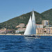 Regates2010_219.jpg
