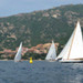 Regates2010_222.jpg
