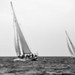 Regates2010_223.jpg