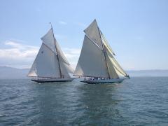 Photo Thibaud Assante Photo Thibaud Assante