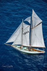 10888627_10152585334045267_4066903671298422478_n 10888627_10152585334045267_4066903671298422478_n