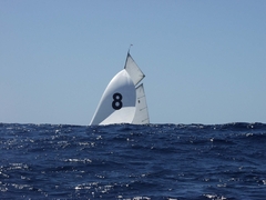 regates_imperiales_2009_bateaux_20.jpg