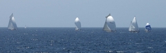regates_imperiales_2009_bateaux_31.jpg