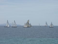 regates_imperiales_2009_bateaux_33.jpg