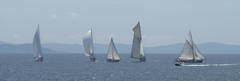 regates_imperiales_2009_bateaux_37.jpg
