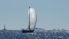 regates_imperiales_2009_bateaux_38.jpg